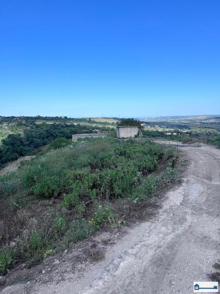 PHOTO-2025-07-09-11-42-40 (18).jpg